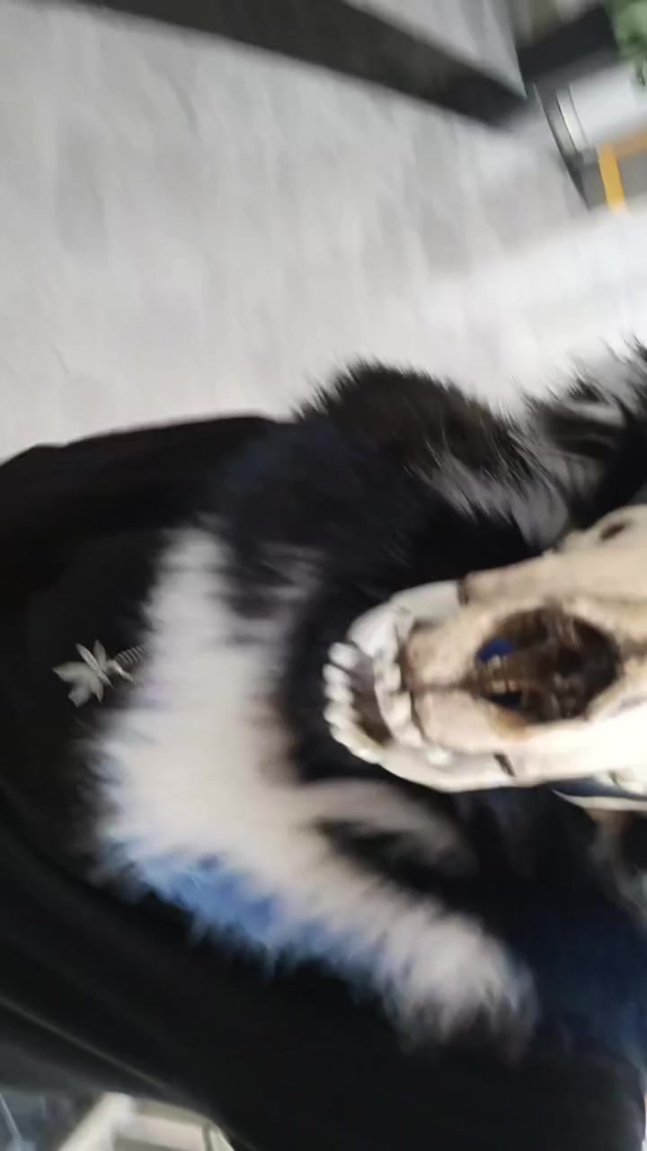@[:Силенсия:]