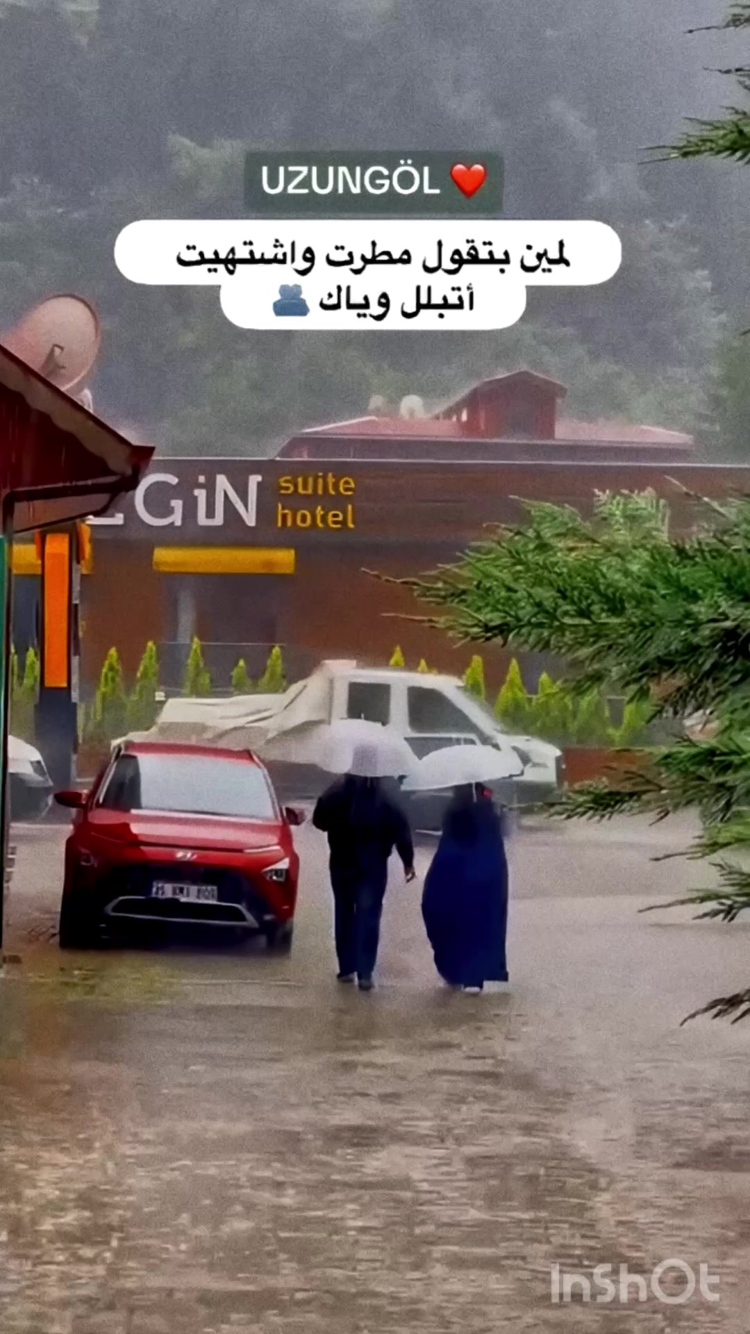 @شركة بالميريا🐫 للسياحة 📸 ✈️