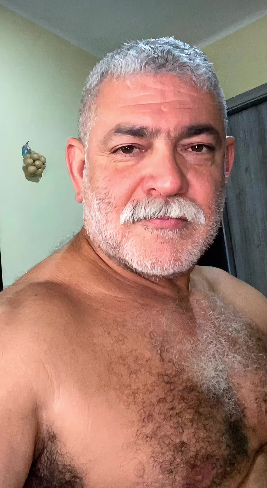 @🇧🇷🇧🇷falconbear99🇧🇷🇧🇷