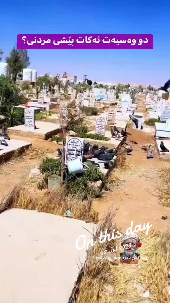 @rebwari namo رێبوارێکی نامۆ