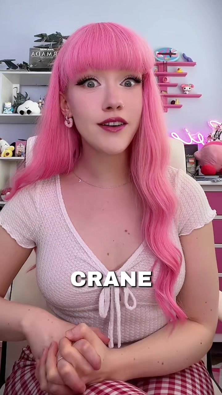 @Evie Rees 🩷
