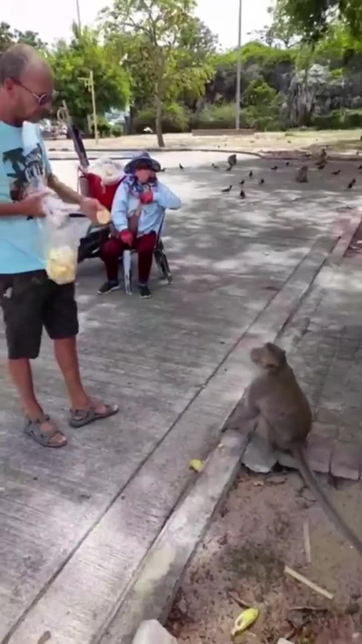 @wanderingheartsasia