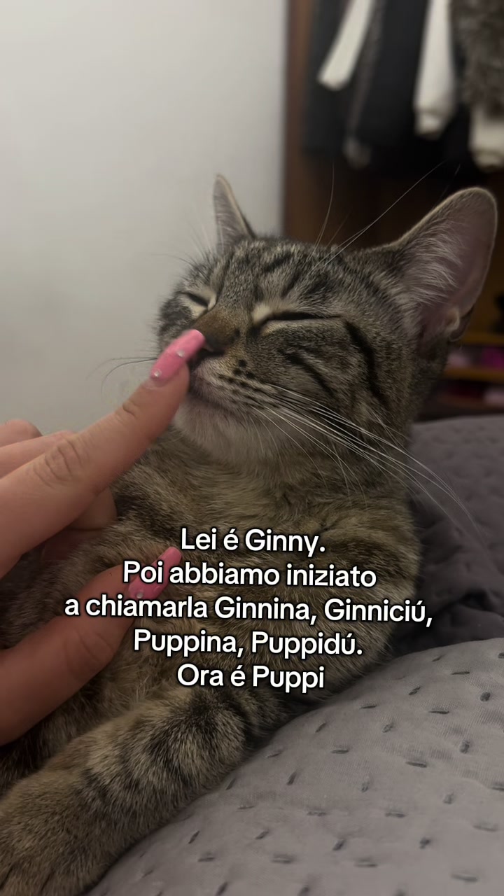 @Luna Lo Faso