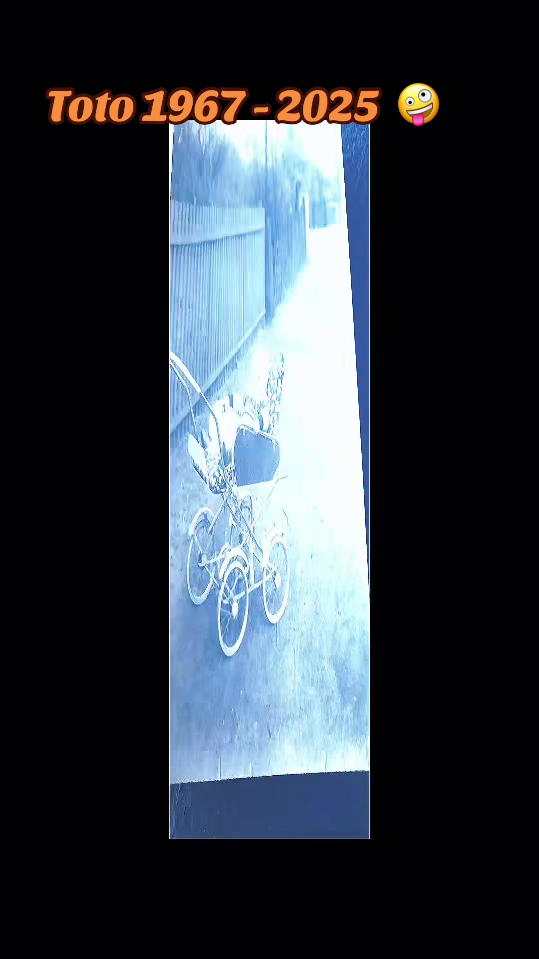 @Toto