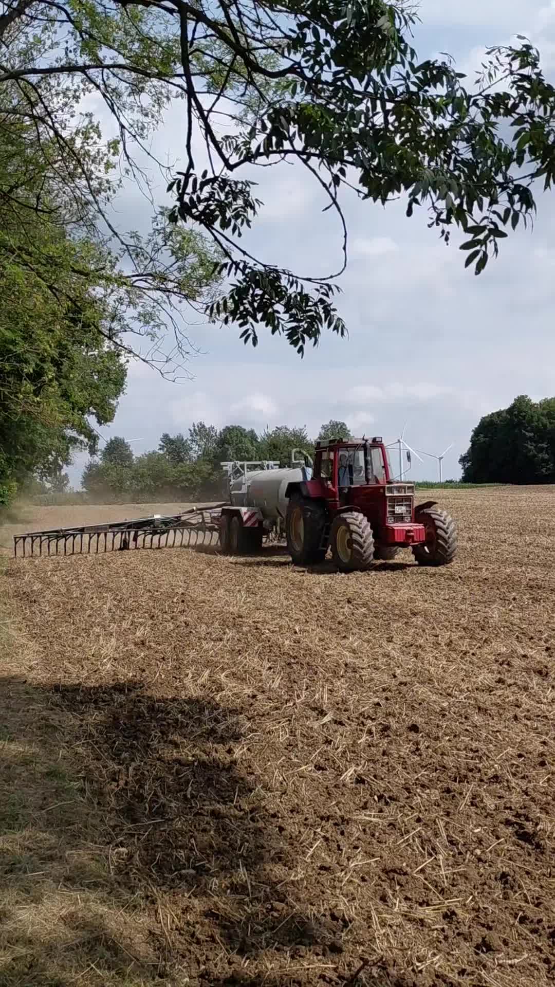 @Bauer Richter 🐱🚜
