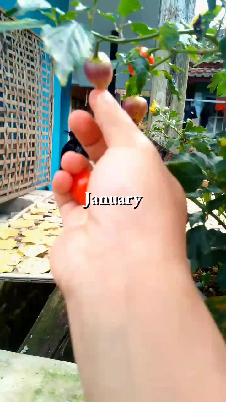 @mutiara.titik