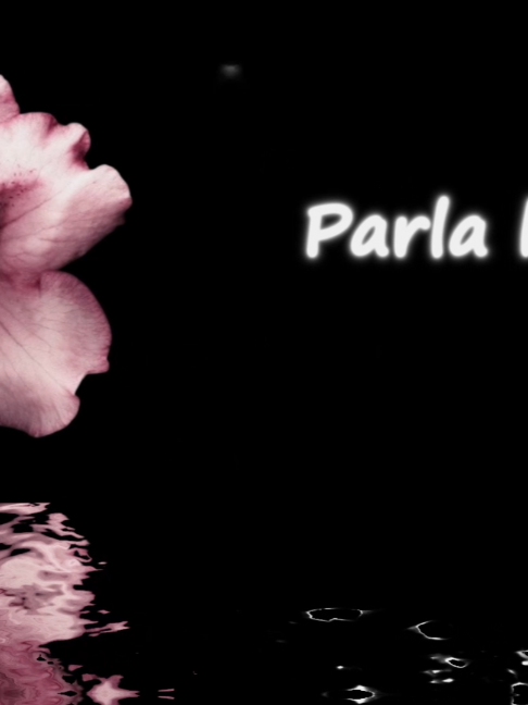 @𝑺𝒘𝒐𝒓𝒅 𝑺𝒂𝒊𝒏𝒕
