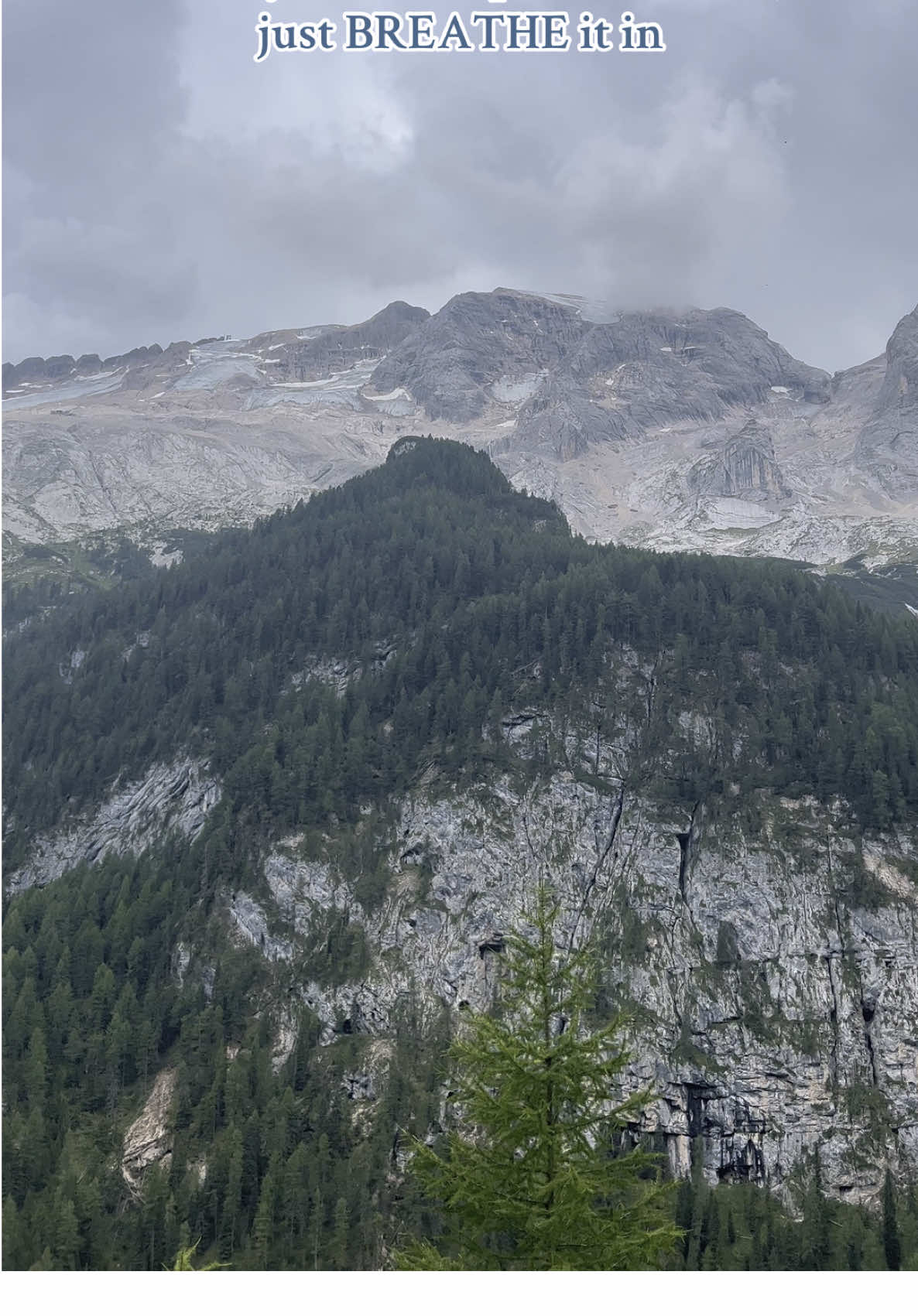 @Videos and photos of nature