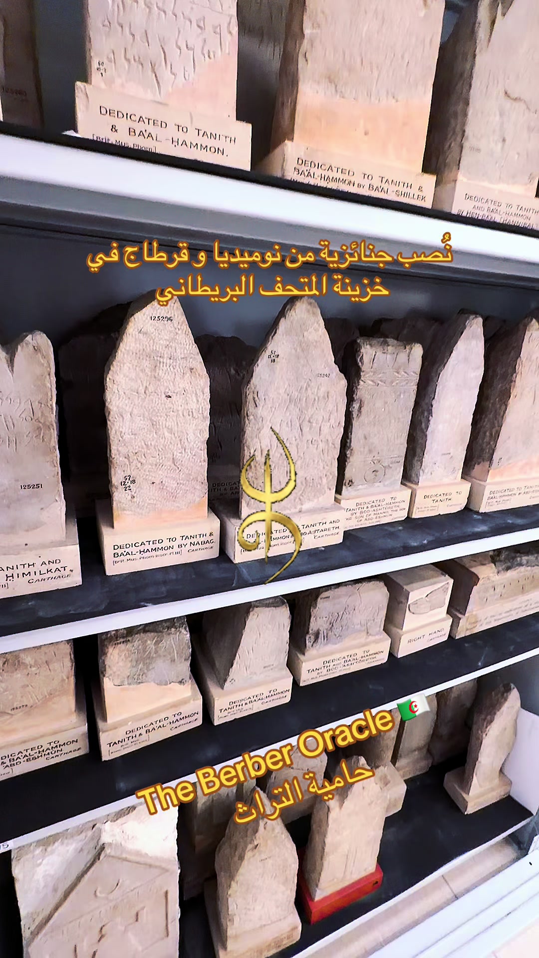@The Berber Oracle حامية التراث