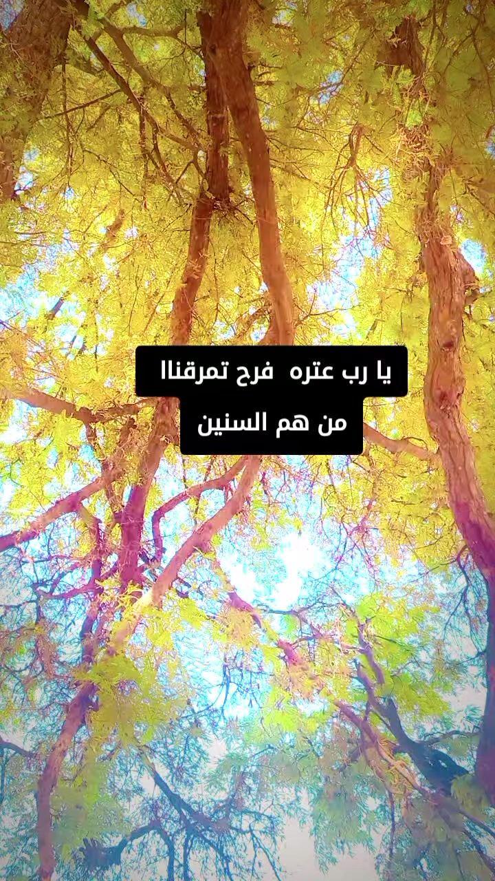 @☠️ود الشيخ 💀☠️