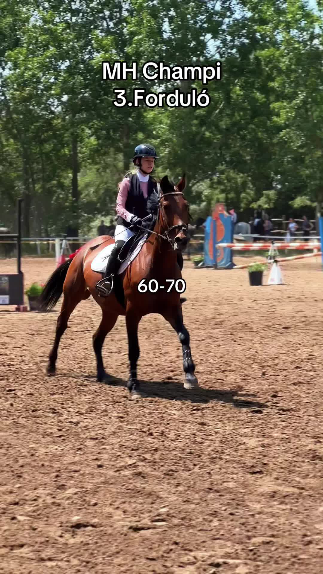 @✨Material Horses✨