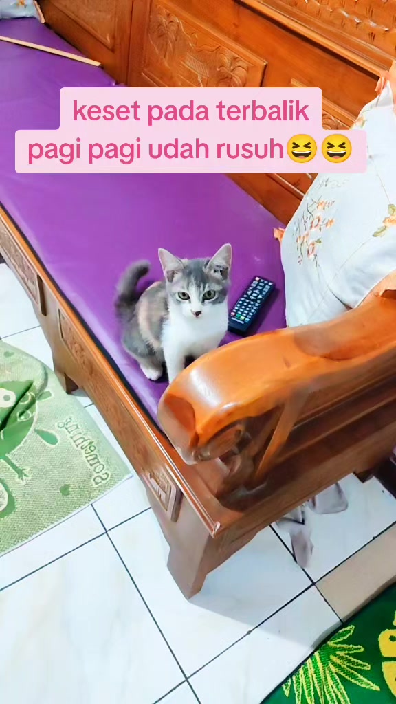 @P4Nadol EXTRA🍊
