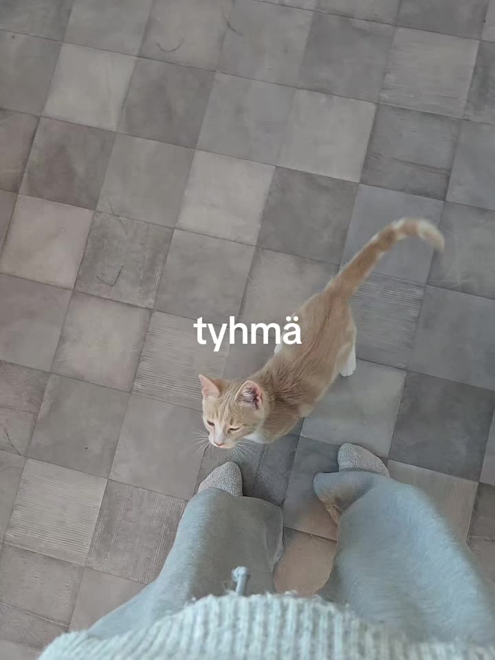 @ᛉhemli