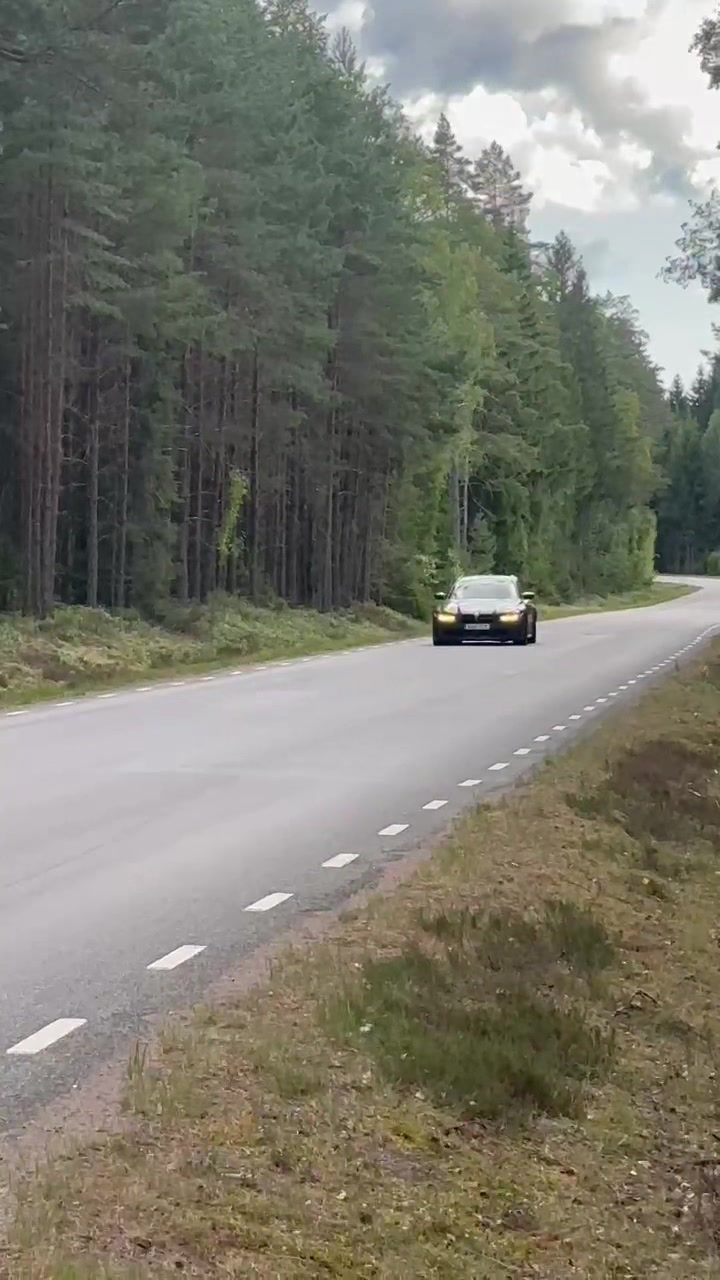 @kingkong_porsche