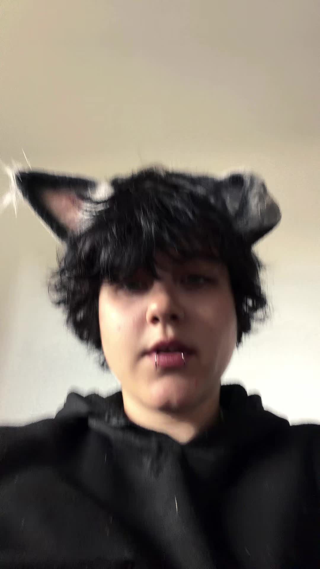 @fin.the.ghostiiie