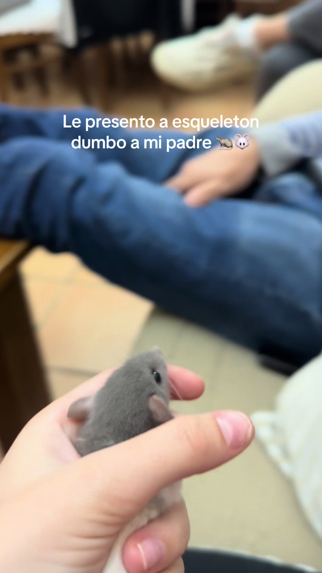 @claren 🩵