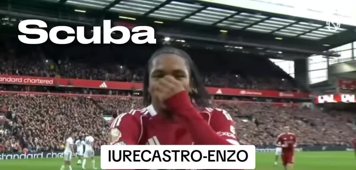 @iure castro