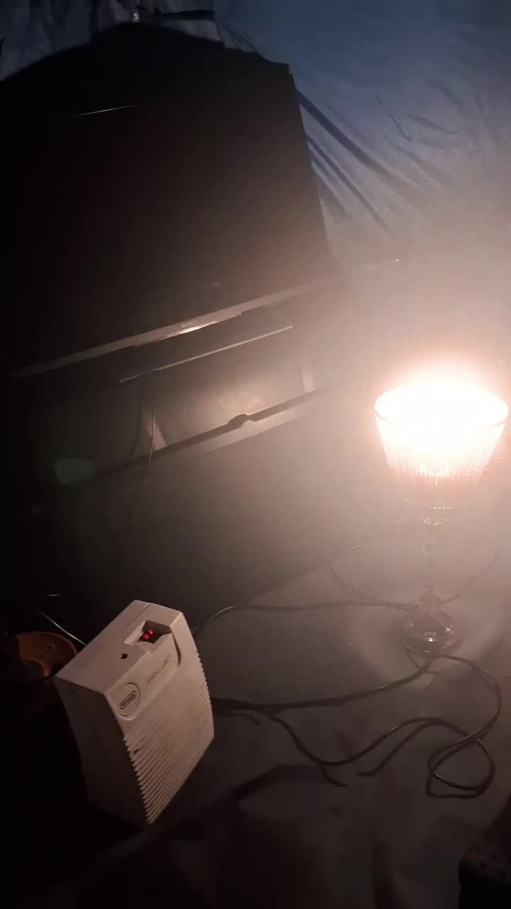 @amypricethetiktoker