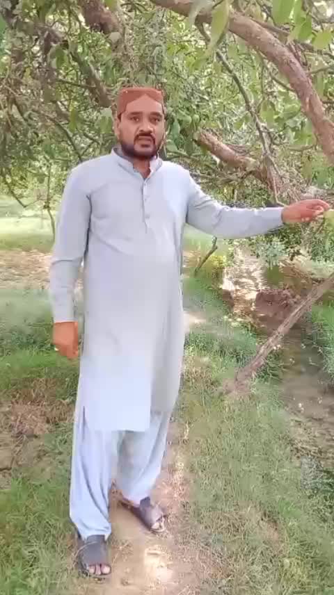 @Kausar Bukhari