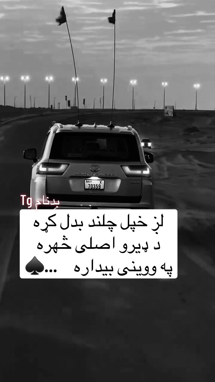 @safi.tg2026