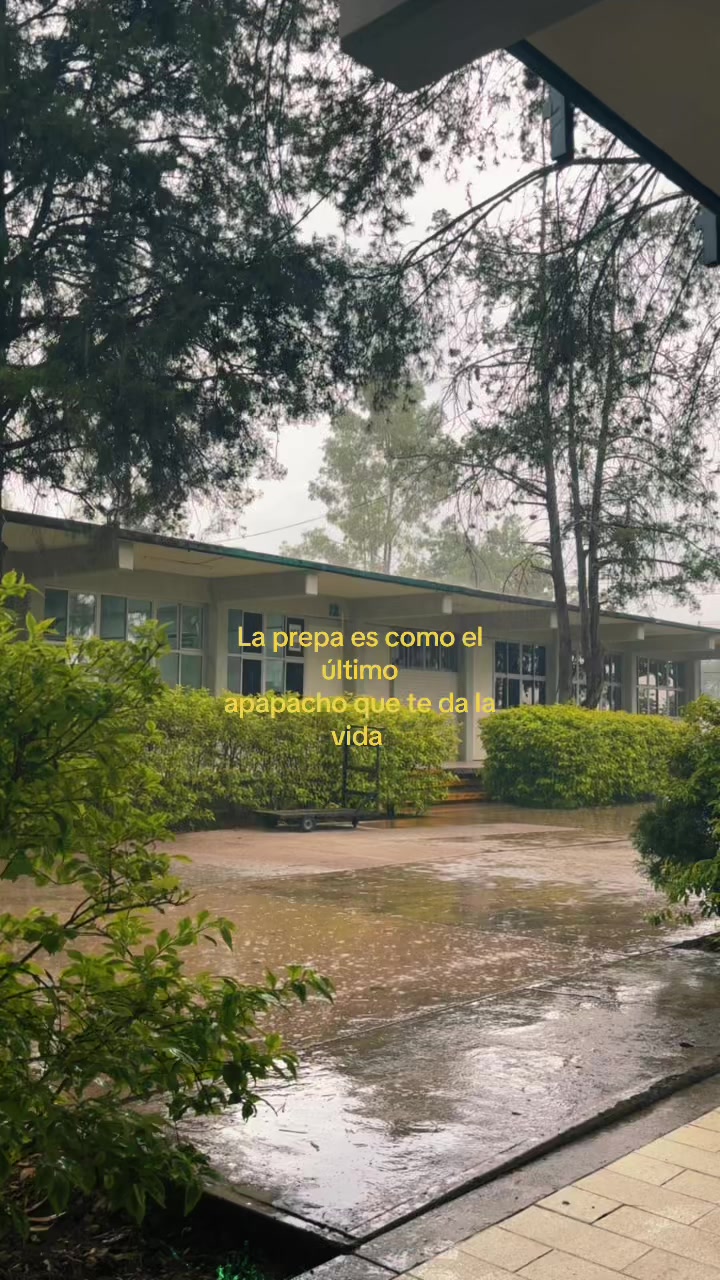 @bananitos11