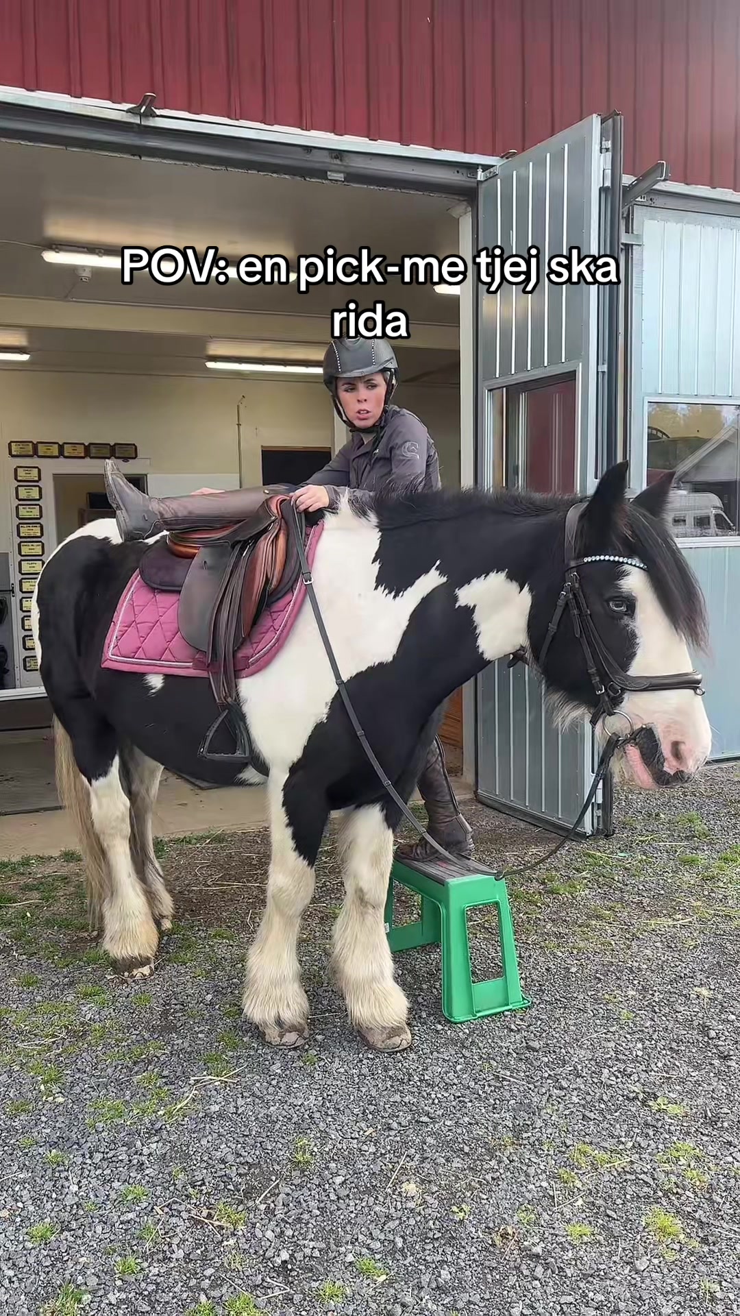 @Alexia Fejes