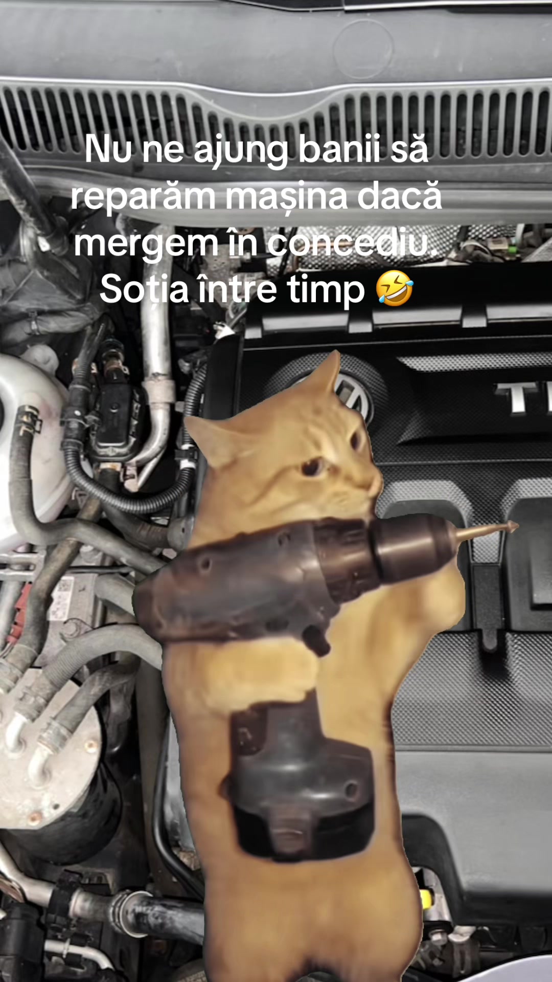 @alexdanNZP