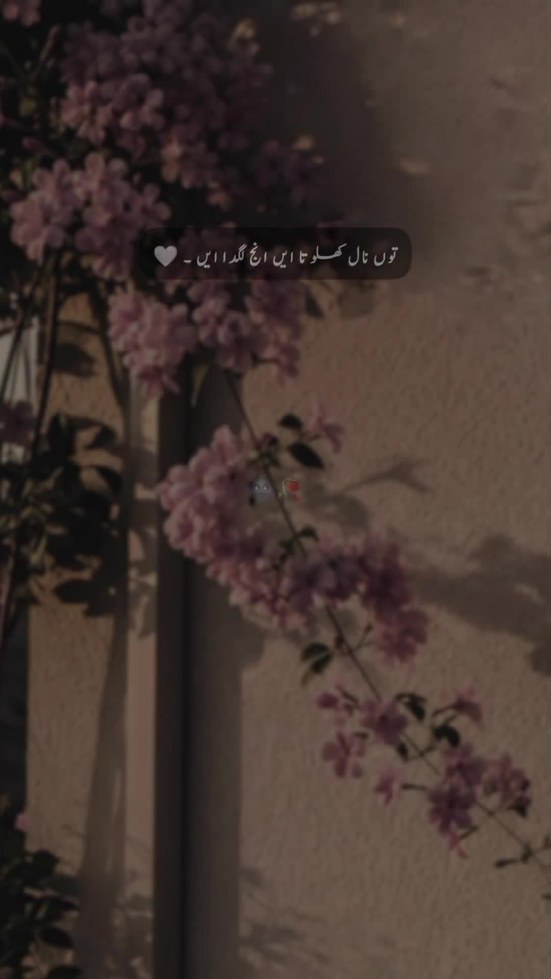@𝐒 𝐚 𝐌 𝐢 🍂🫀