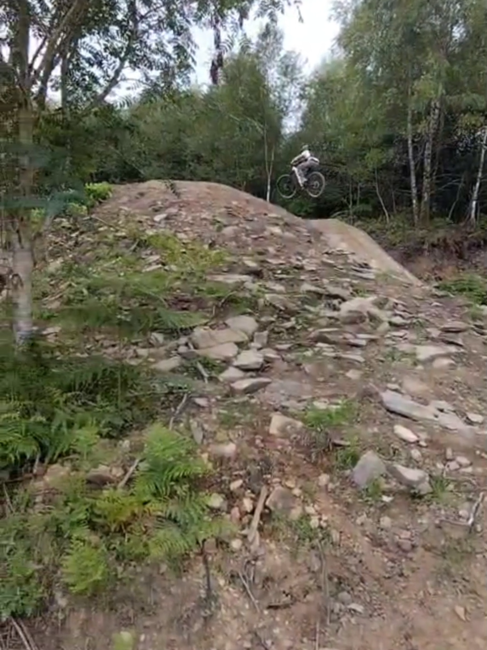 @dexter__mtb