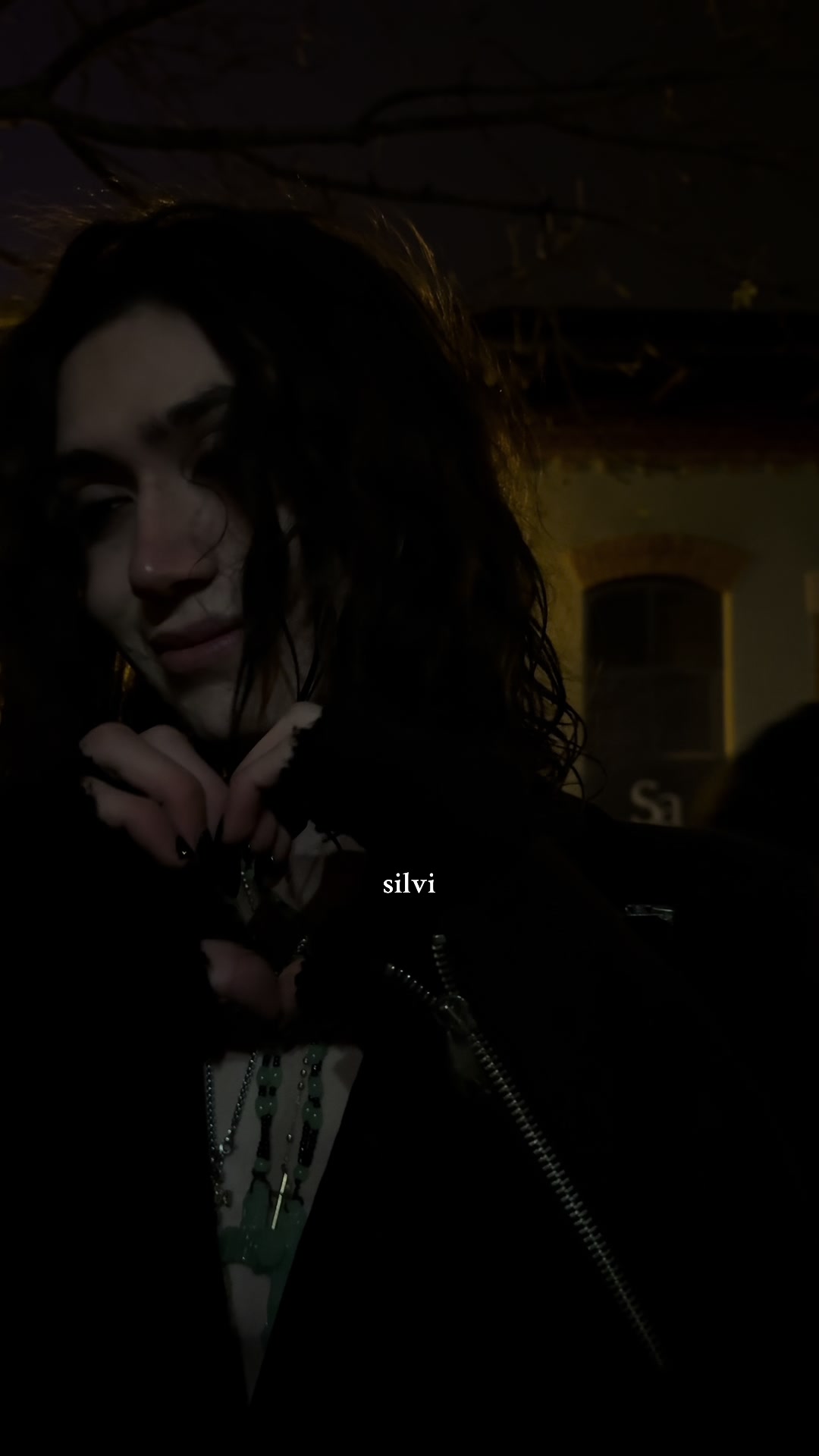 @silvi