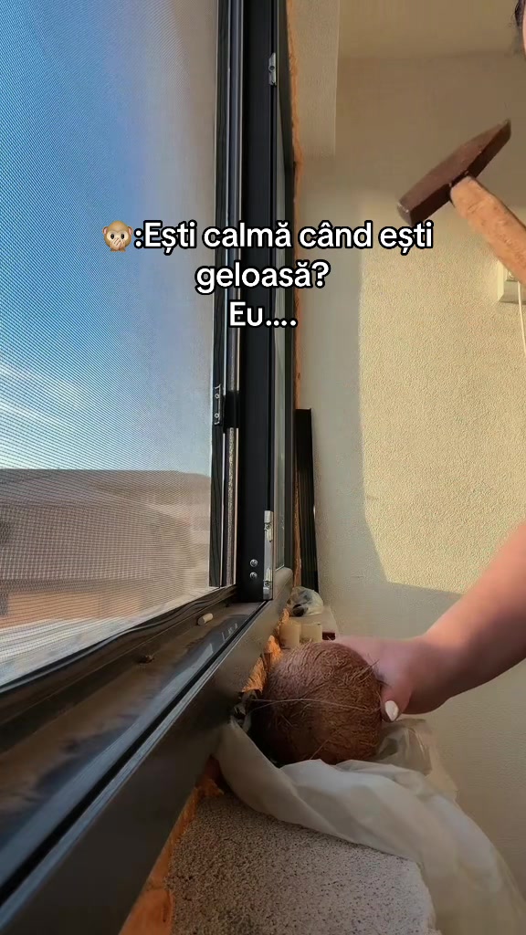 @Daniela Vlad