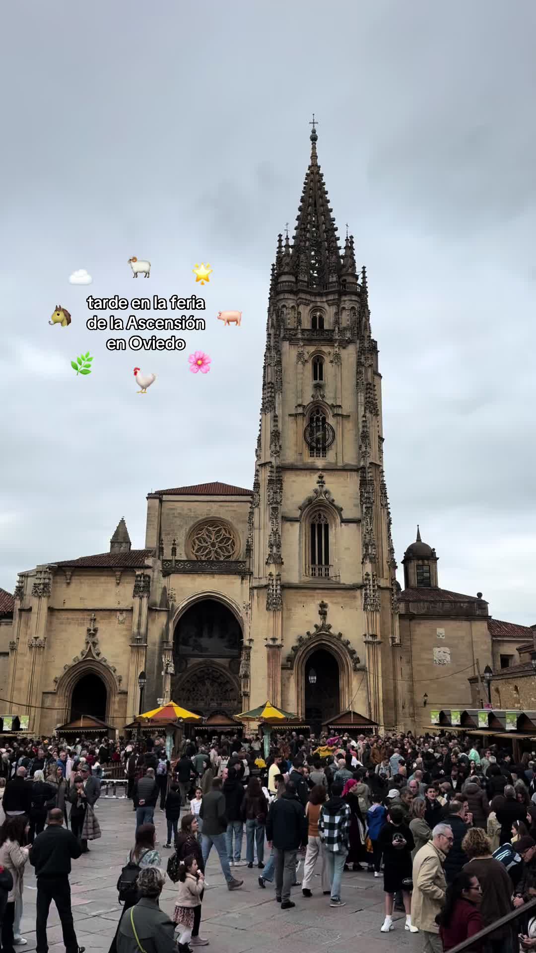@paula ☾