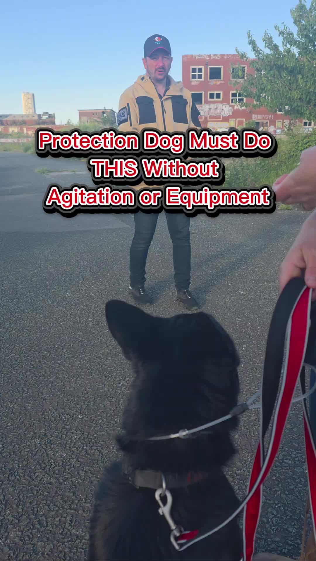 @Archer K9