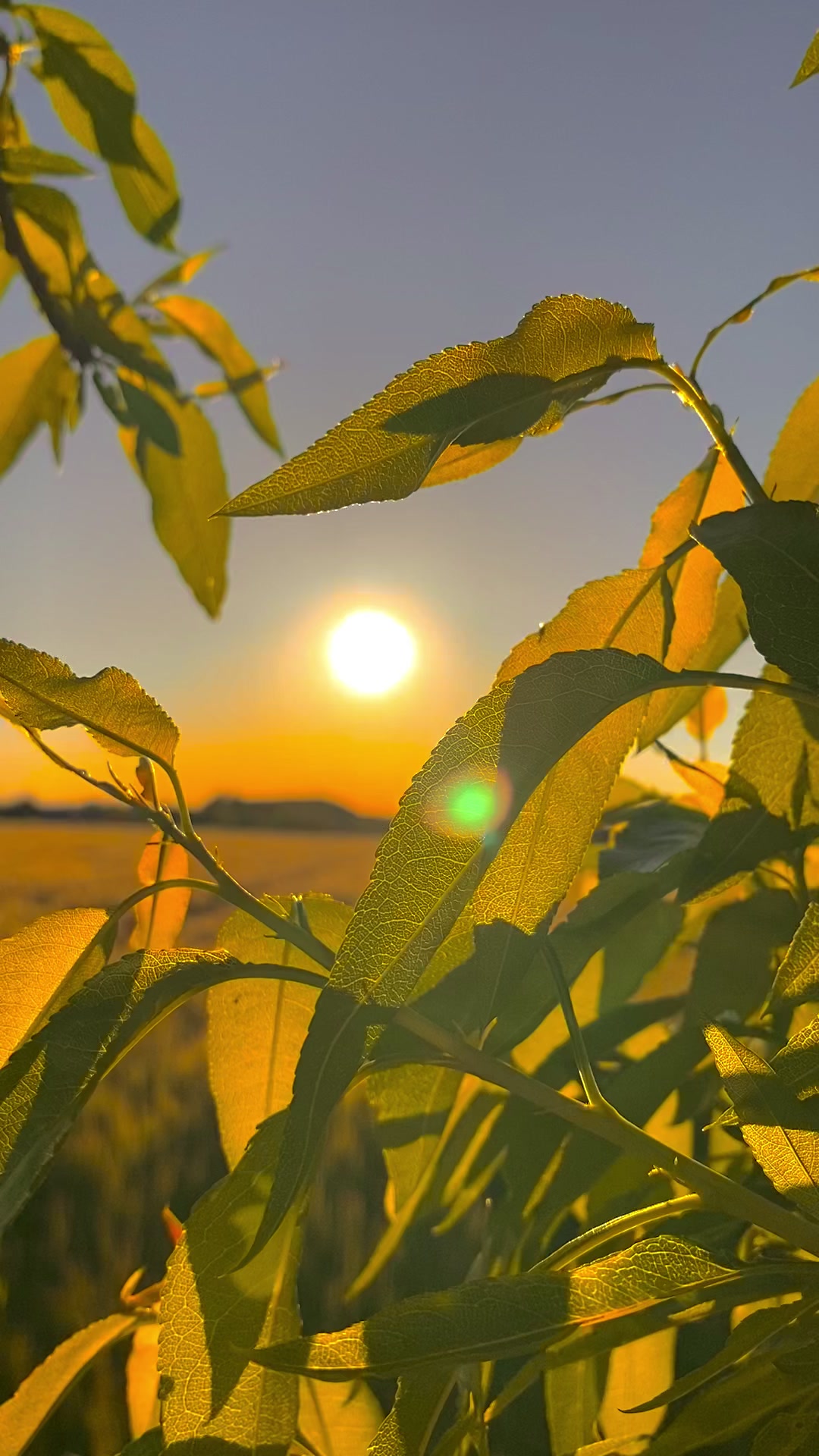 @ahmett_6334☀️