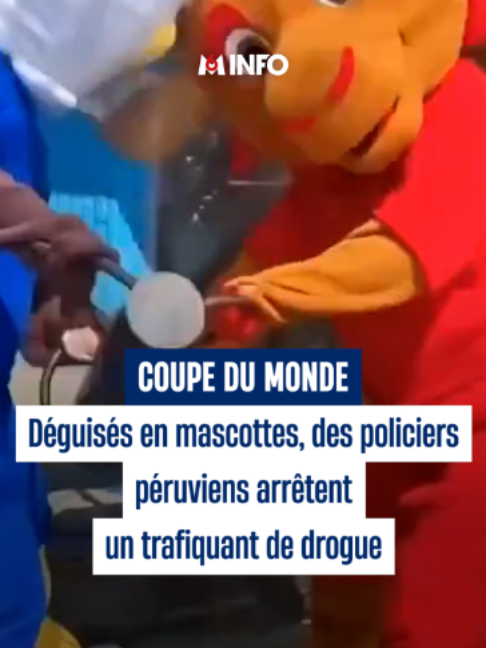 @M6 Info