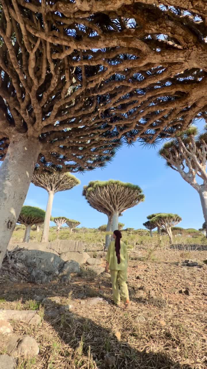 @Une Dz en vadrouille 🌺