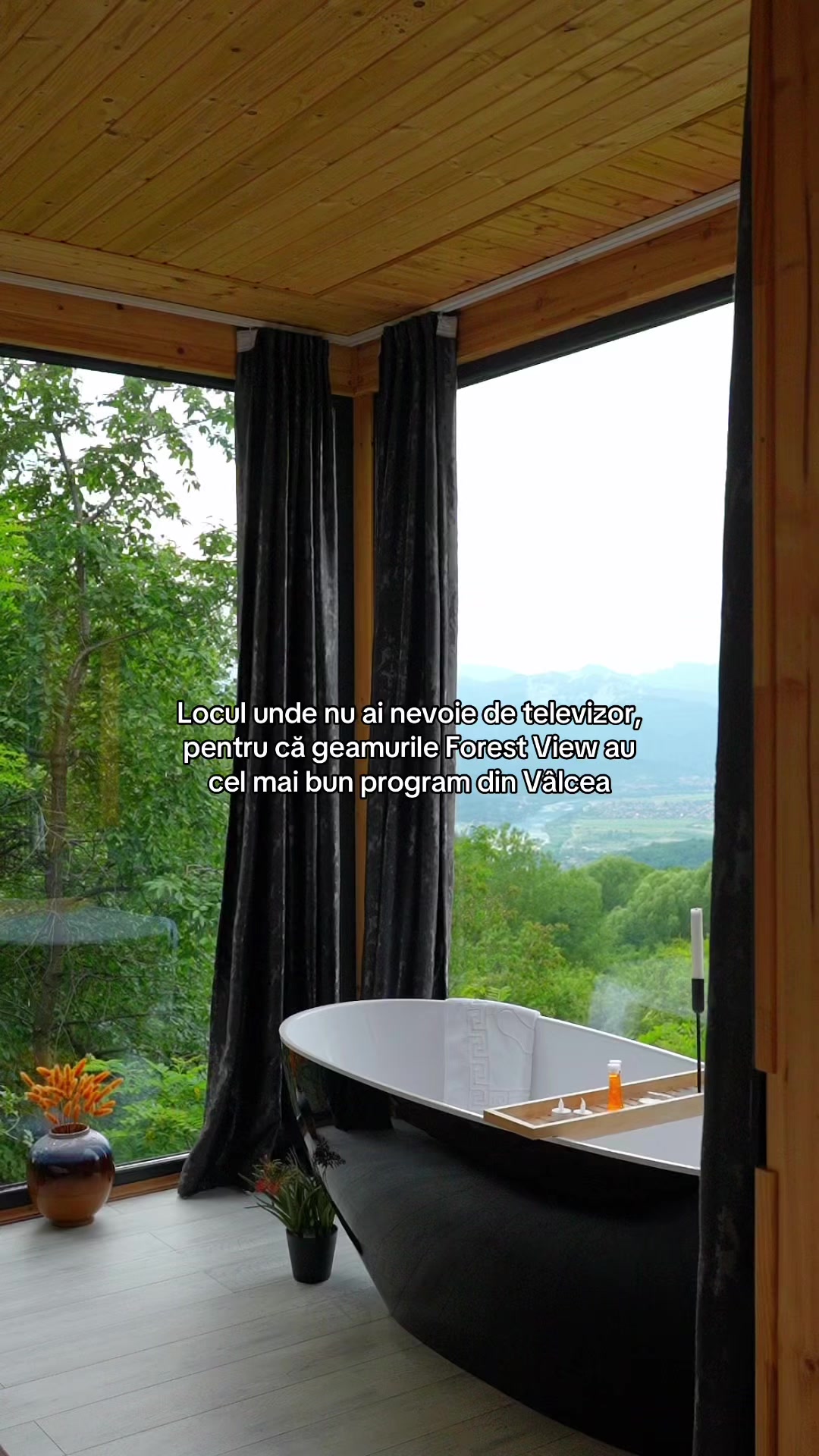 @Forest View Valcea