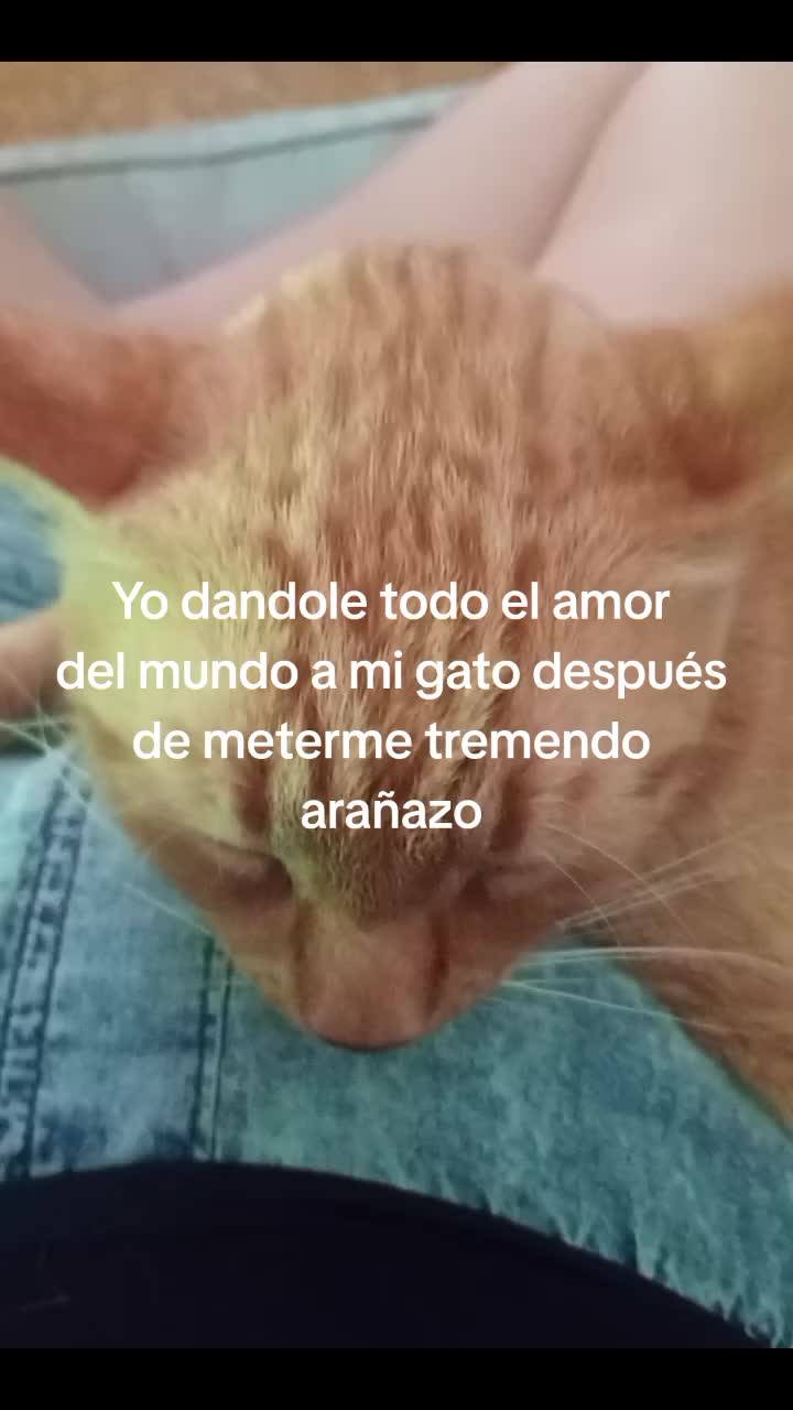 @•_•