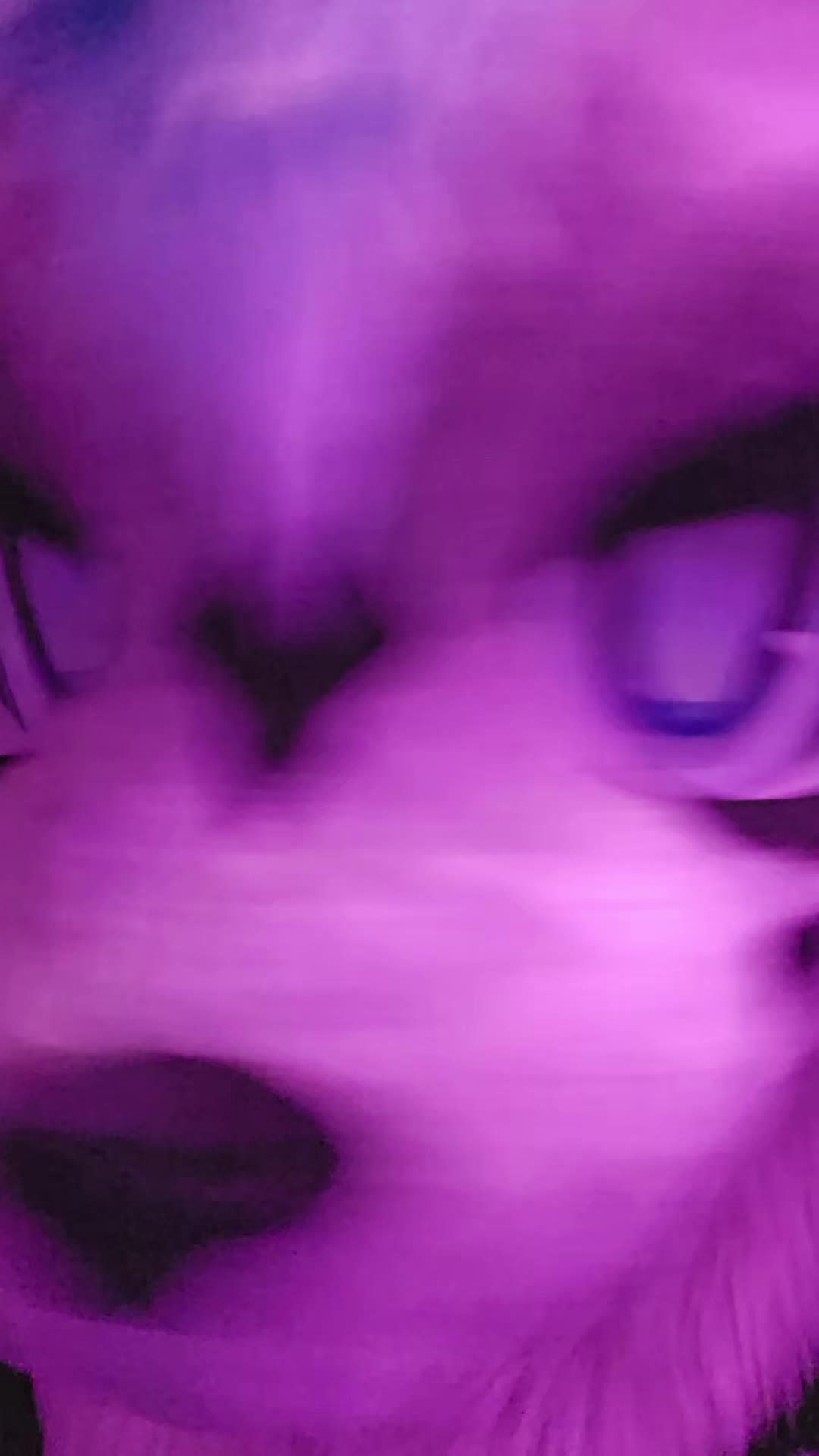 @Maishu Foxx