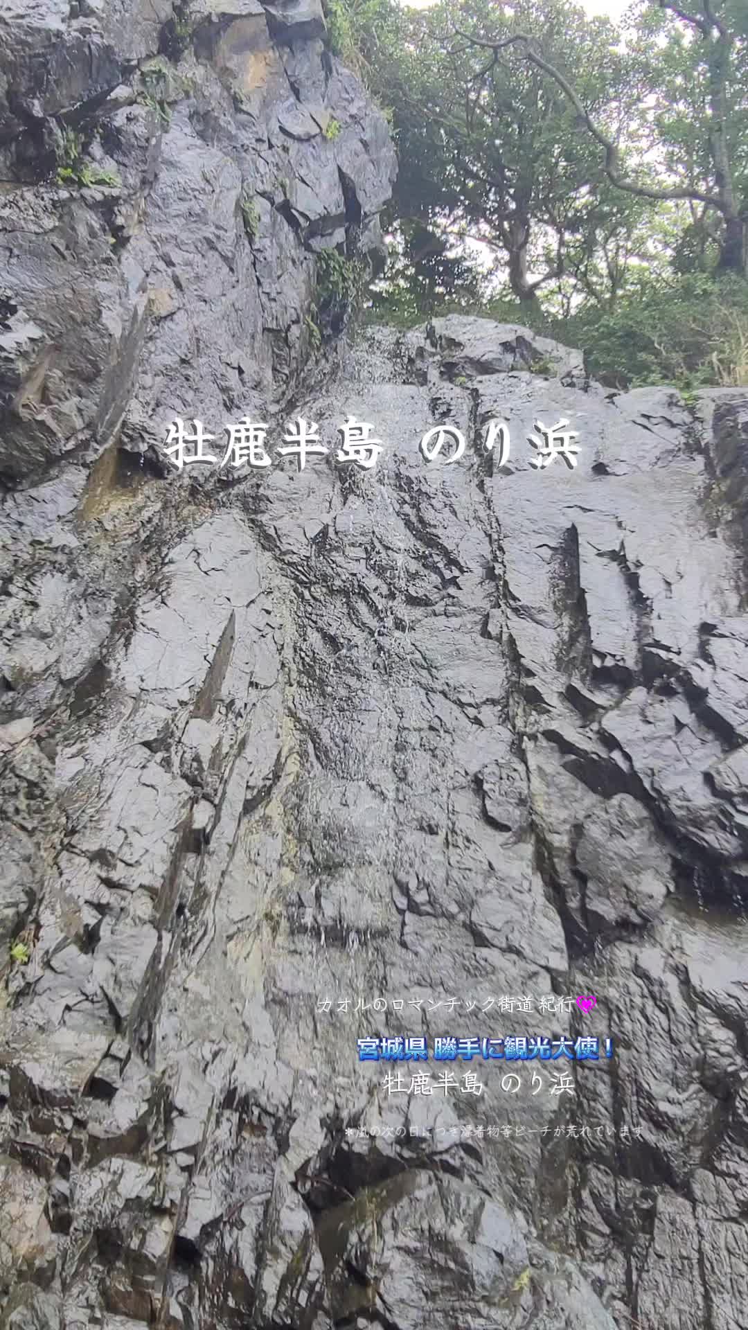 @cjカオル