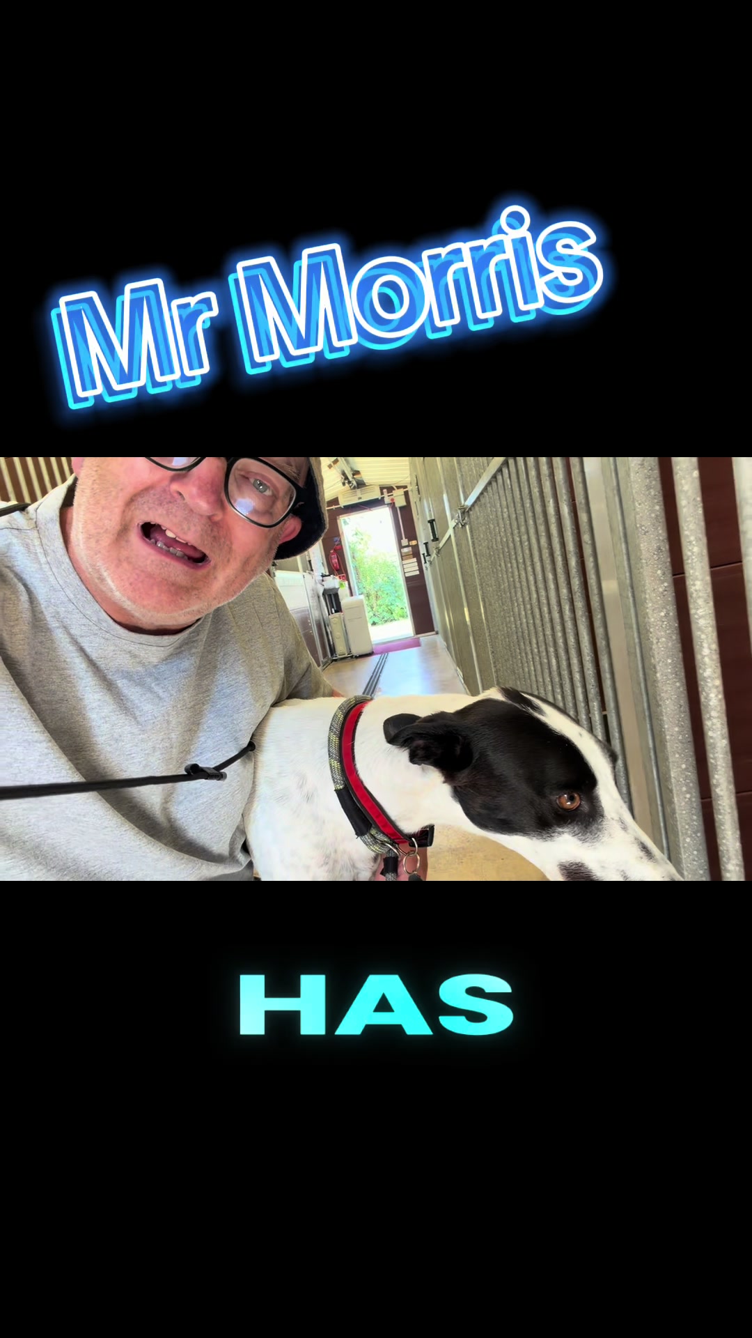 @BristolDAWG