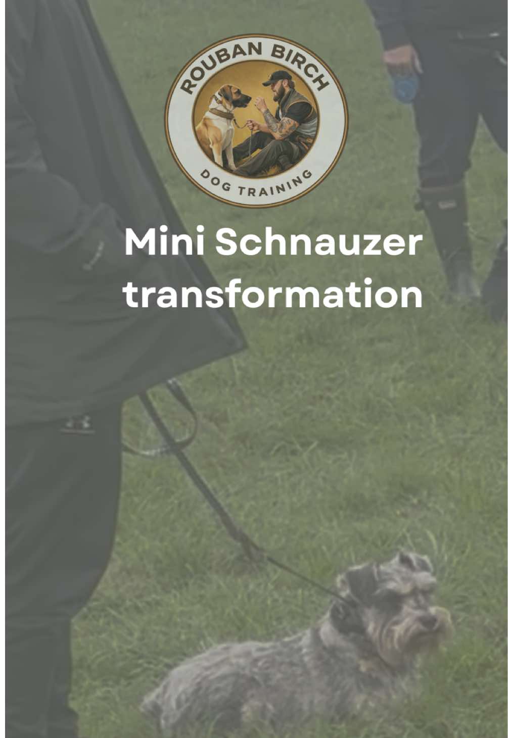 @rbdogtraining