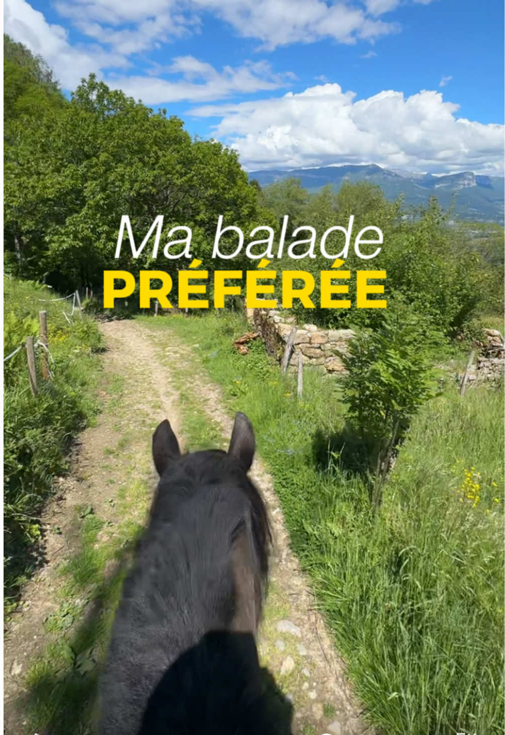 @Untraitdecheval