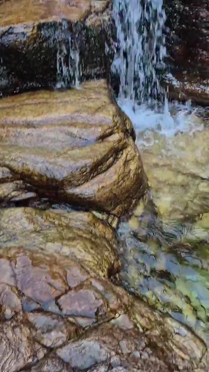 @colanimnoix