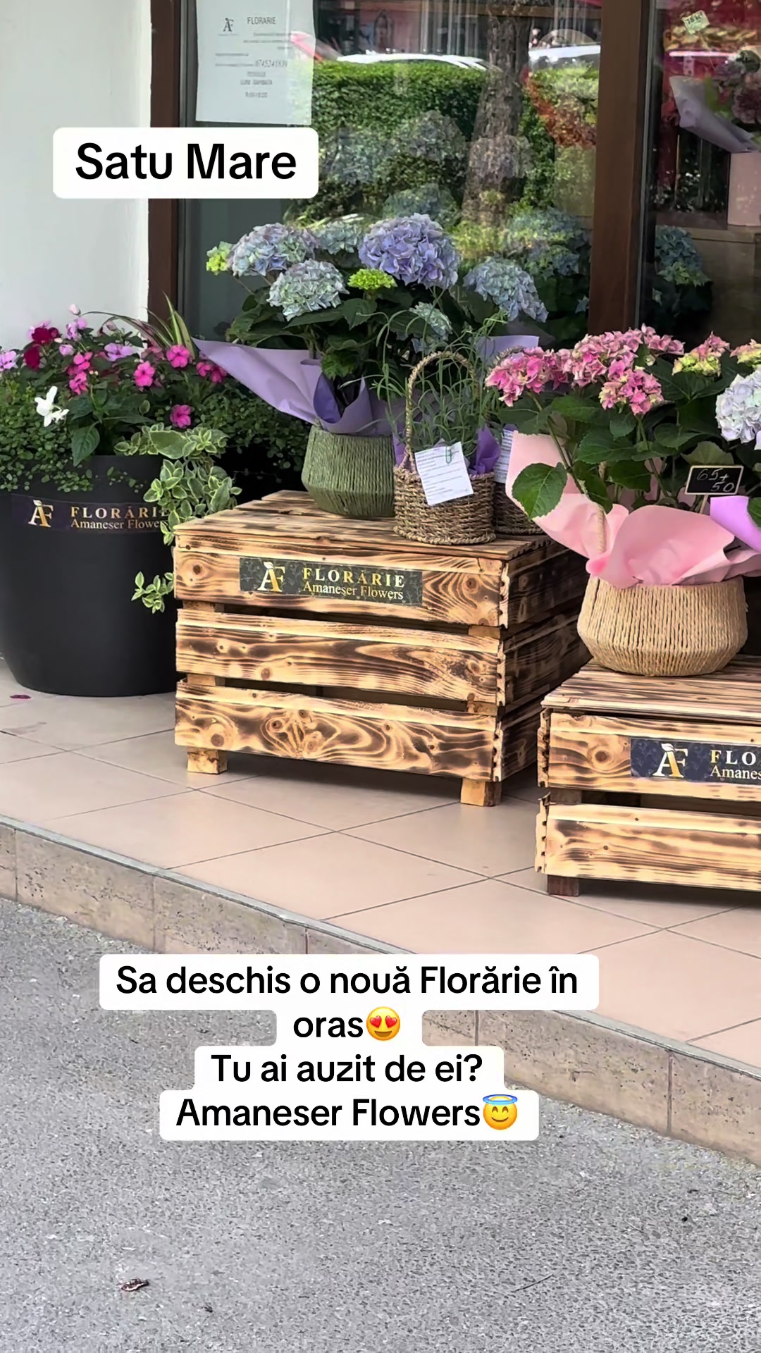 @Marian Lucuț.®️