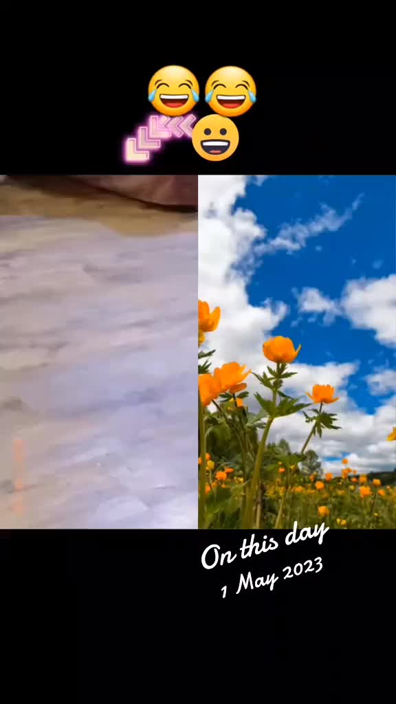 @J46TAR ROM4N4