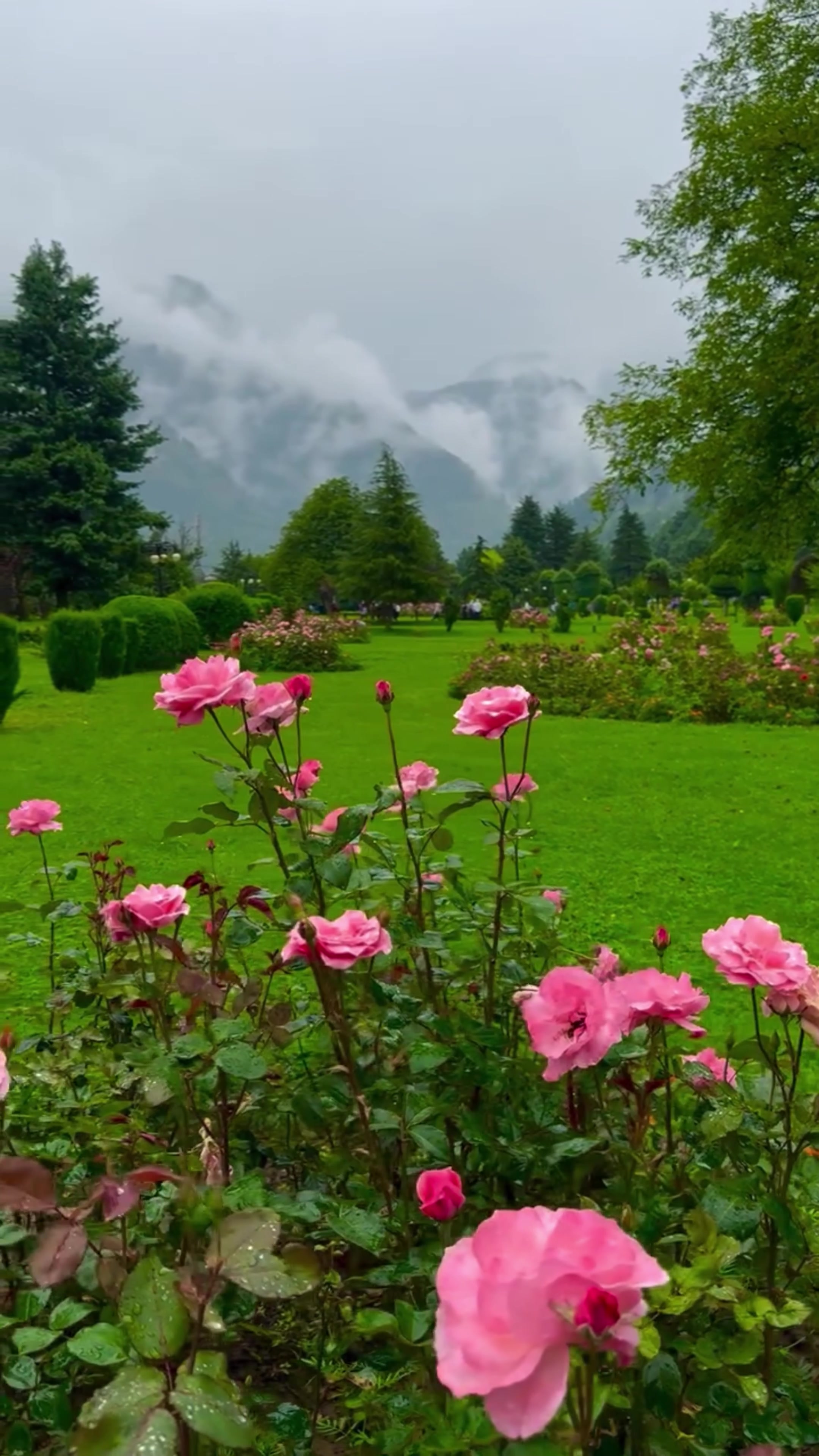 @World 🌍 beauty