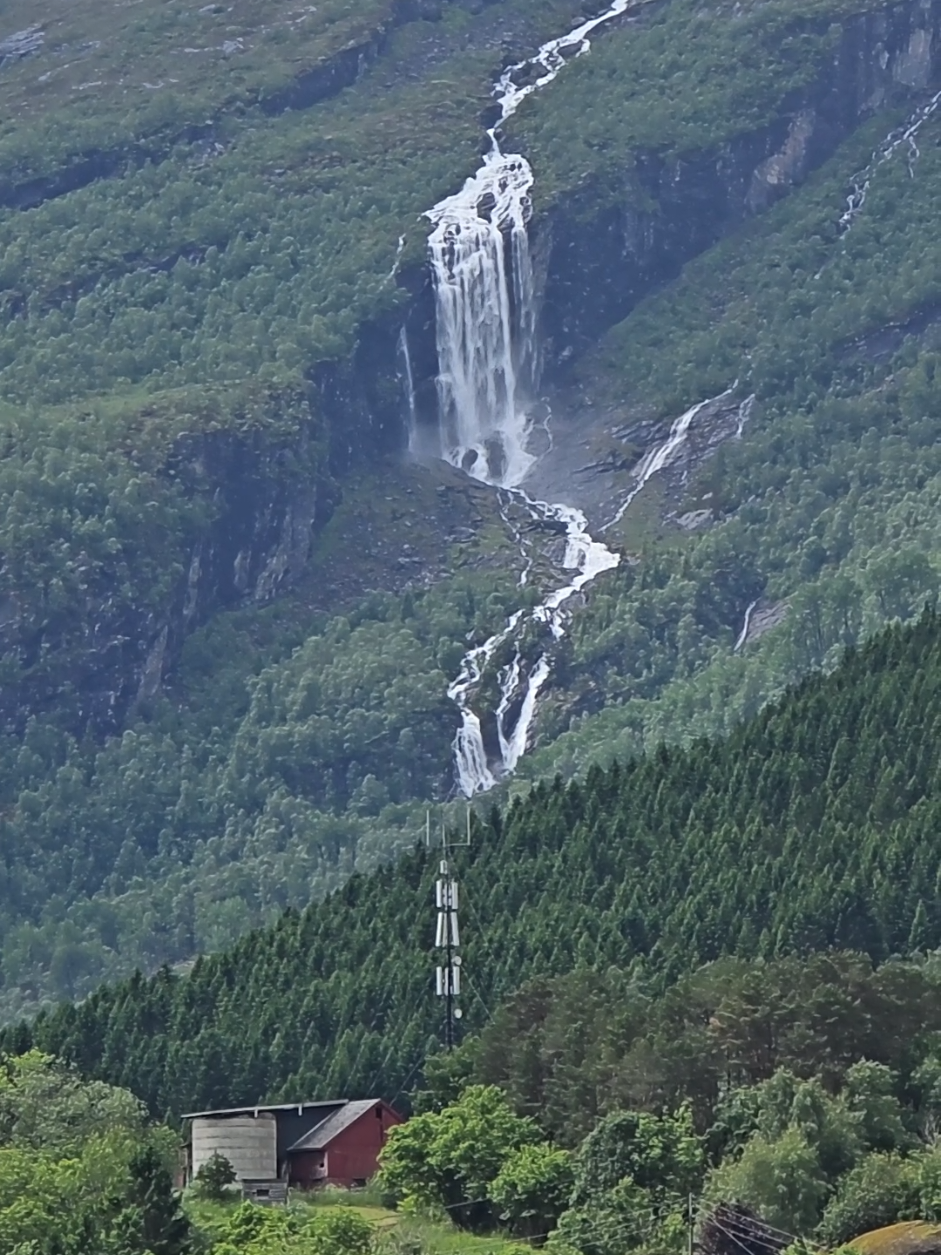 @VikinginVik