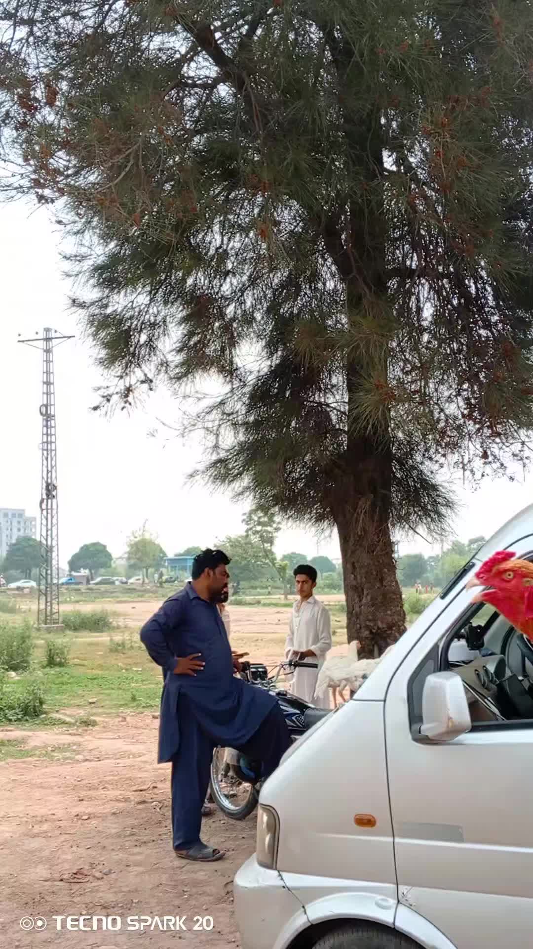 @Adnan Khan Aseel