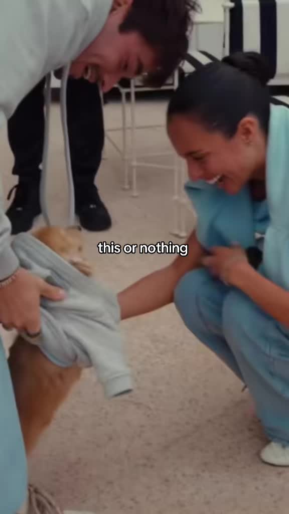 @𝒶𝓁𝑒𝓍𝒶𝓃𝒹𝓇𝒶 🤍